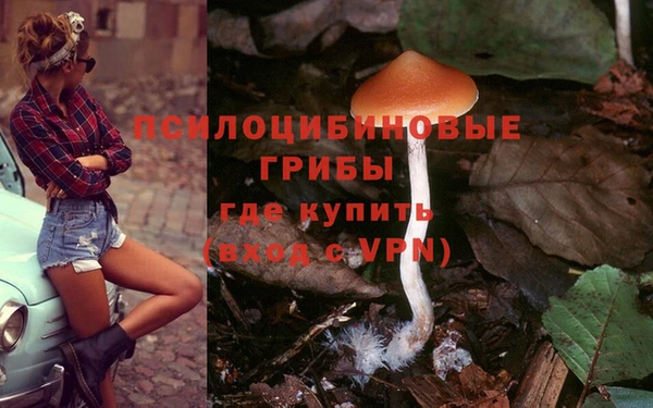 кокаин перу Аркадак