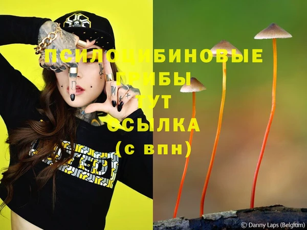 гидра Алзамай