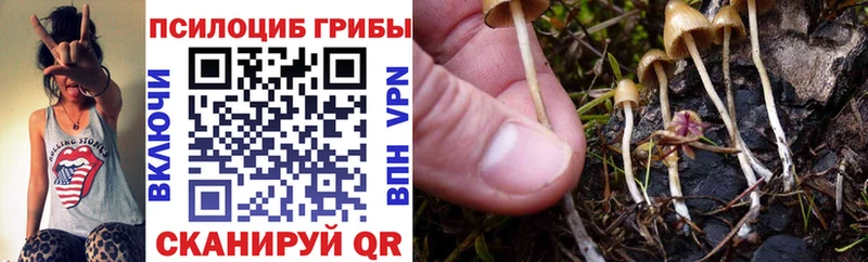Галлюциногенные грибы MAGIC MUSHROOMS  Краснослободск 